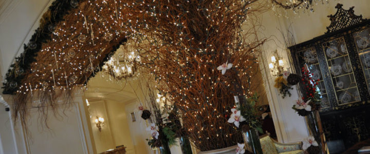 Large curly willow display for a corporate holiday event